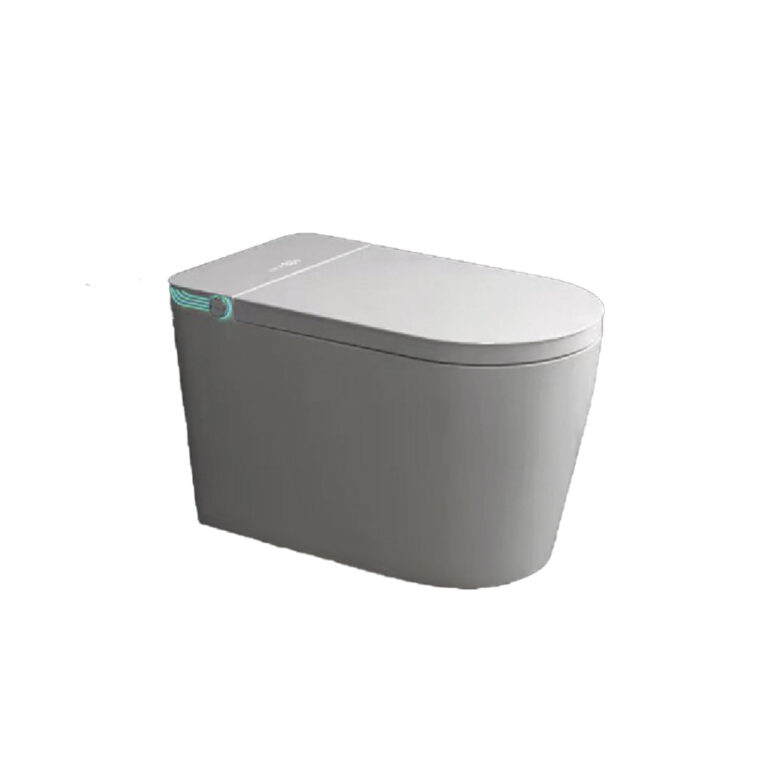 Padova Smart Toilette